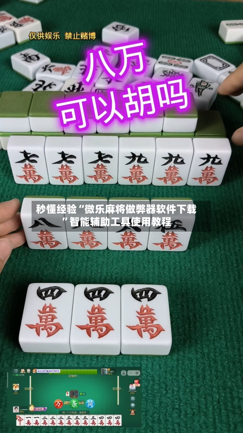 秒懂经验“微乐麻将做弊器软件下载”智能辅助工具使用教程-第2张图片