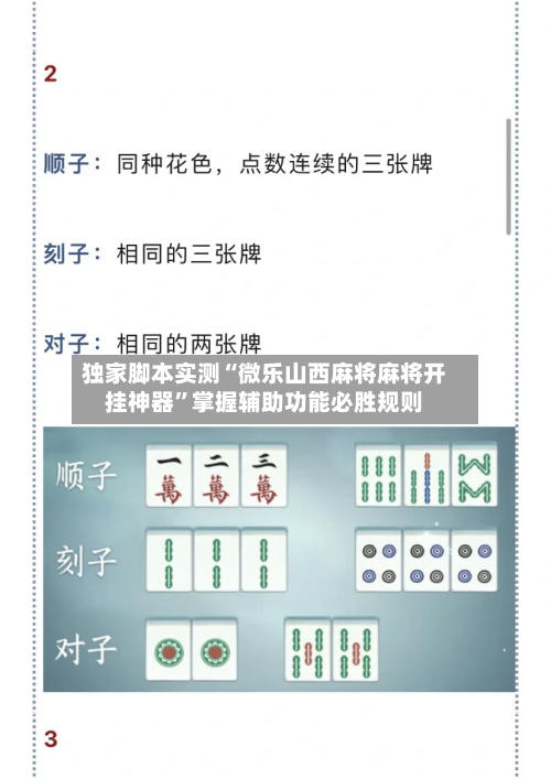 独家脚本实测“微乐山西麻将麻将开挂神器”掌握辅助功能必胜规则-第2张图片