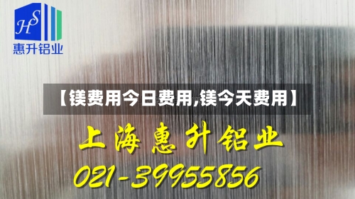 【镁费用今日费用,镁今天费用】