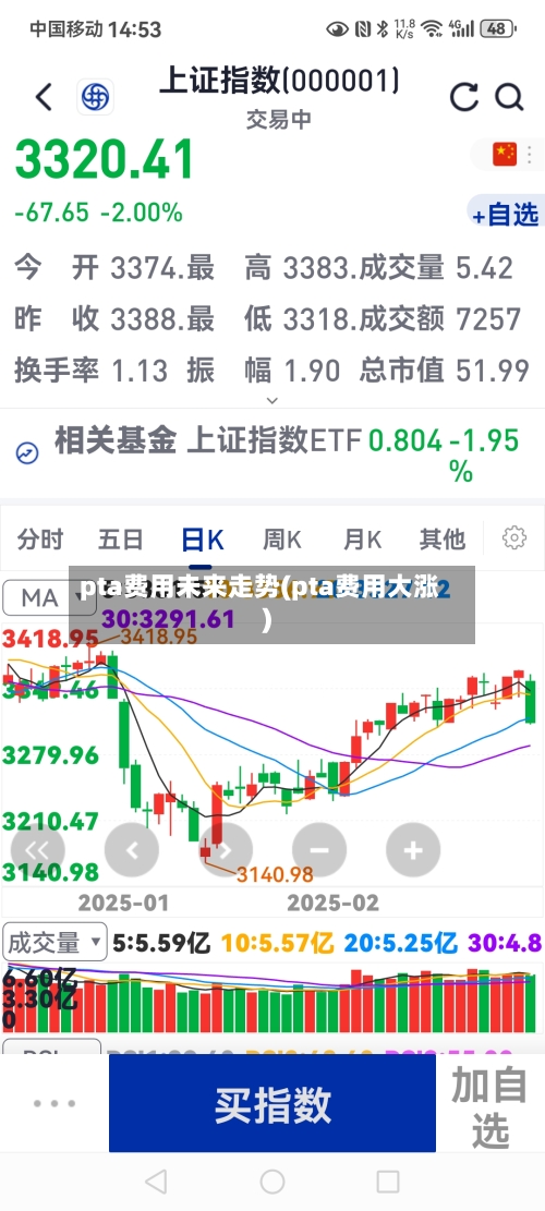 pta费用未来走势(pta费用大涨)-第2张图片