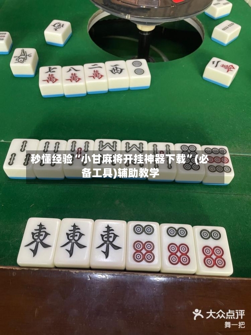 秒懂经验“小甘麻将开挂神器下载”(必备工具)辅助教学-第2张图片