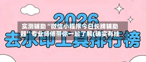 实测辅助“微信小程序今日长牌辅助器”专业师傅带你一起了解(确实有挂-第2张图片