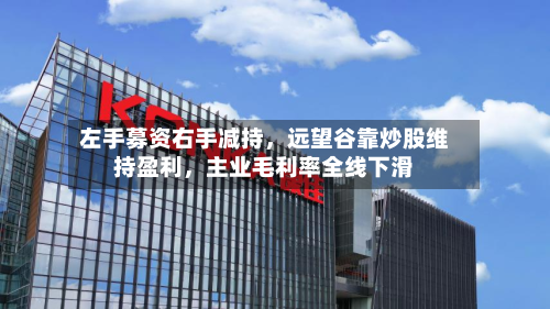 左手募资右手减持，远望谷靠炒股维持盈利，主业毛利率全线下滑-第2张图片