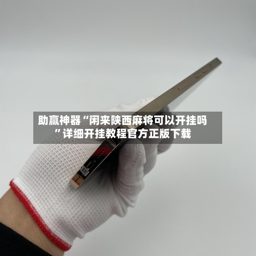 助赢神器“闲来陕西麻将可以开挂吗”详细开挂教程官方正版下载