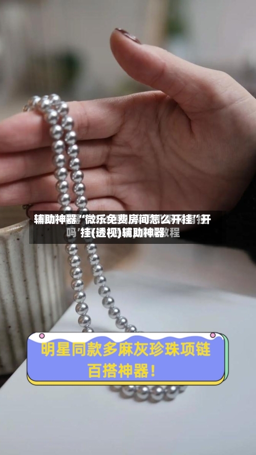 辅助神器“微乐免费房间怎么开挂”开挂(透视)辅助神器-第3张图片