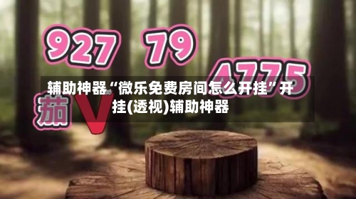 辅助神器“微乐免费房间怎么开挂”开挂(透视)辅助神器-第2张图片