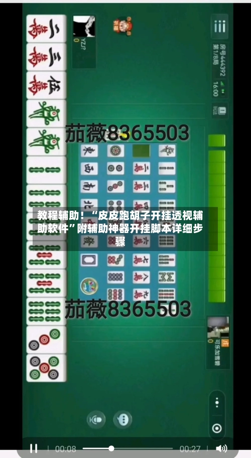 教程辅助！“皮皮跑胡子开挂透视辅助软件	”附辅助神器开挂脚本详细步骤-第2张图片