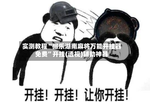 实测教程“微乐湖南麻将万能开挂器免费”开挂(透视)辅助神器-第3张图片