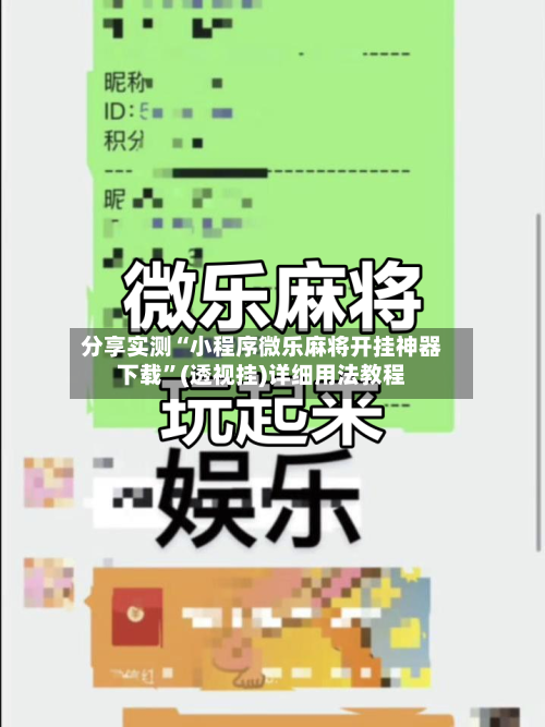 分享实测“小程序微乐麻将开挂神器下载”(透视挂)详细用法教程-第3张图片