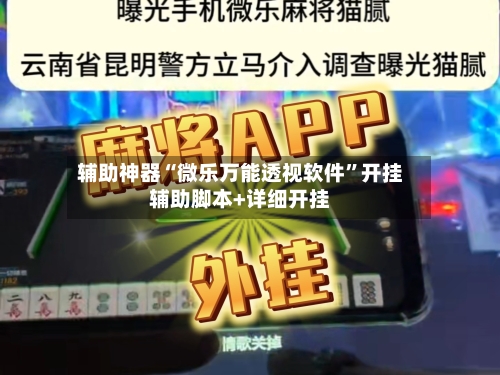 辅助神器“微乐万能透视软件”开挂辅助脚本+详细开挂-第3张图片