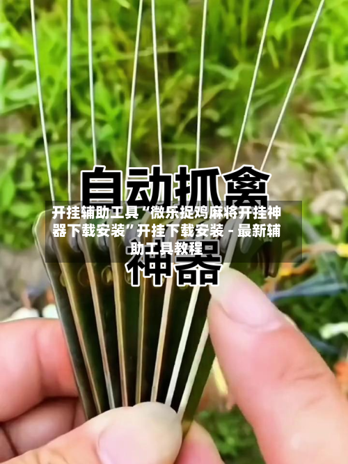 开挂辅助工具“微乐捉鸡麻将开挂神器下载安装”开挂下载安装 - 最新辅助工具教程-第3张图片