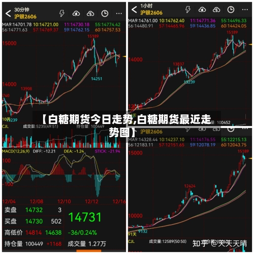 【白糖期货今日走势,白糖期货最近走势图】-第3张图片