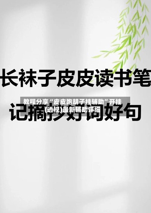 教程分享“皮皮跑胡子挂辅助”开挂(透视)最新辅助详细