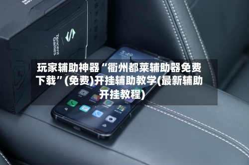 玩家辅助神器“衢州都莱辅助器免费下载”(免费)开挂辅助教学(最新辅助开挂教程)-第2张图片
