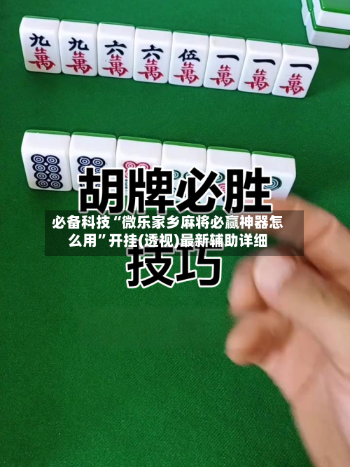 必备科技“微乐家乡麻将必赢神器怎么用	”开挂(透视)最新辅助详细-第2张图片