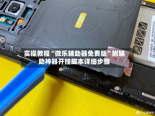 实操教程“微乐辅助器免费版”附辅助神器开挂脚本详细步骤-第2张图片