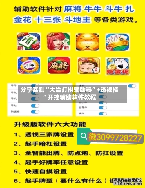分享实测“大冶打拱辅助器”+透视挂”开挂辅助软件教程