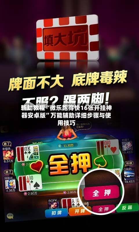 辅助教程“微乐跑得快16张开挂神器安卓版”万能辅助详细步骤与使用技巧-第2张图片
