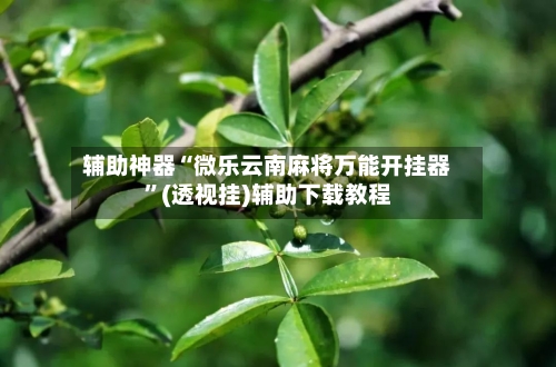 辅助神器“微乐云南麻将万能开挂器”(透视挂)辅助下载教程-第2张图片