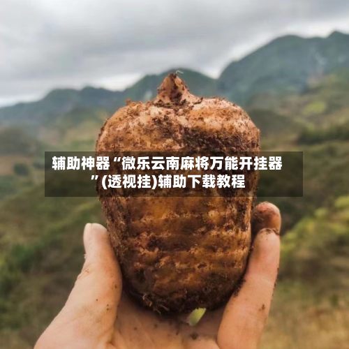 辅助神器“微乐云南麻将万能开挂器”(透视挂)辅助下载教程