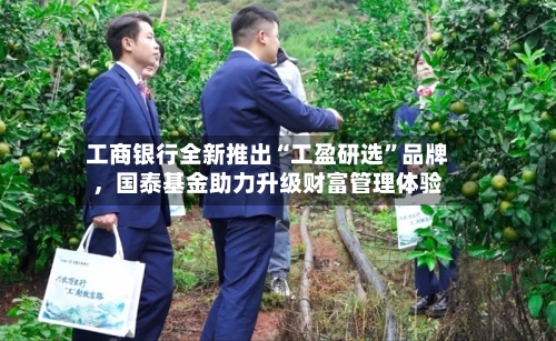 工商银行全新推出“工盈研选	”品牌，国泰基金助力升级财富管理体验-第3张图片