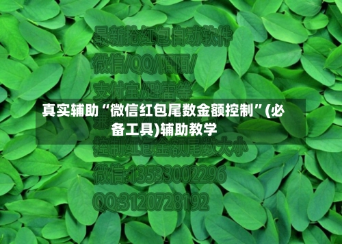 真实辅助“微信红包尾数金额控制”(必备工具)辅助教学-第2张图片