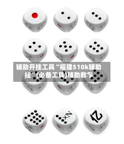 辅助开挂工具“福建510k辅助挂”(必备工具)辅助教学-第3张图片