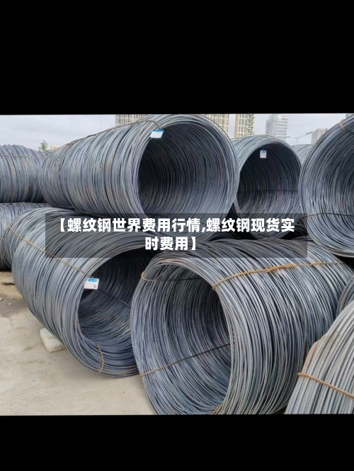 【螺纹钢世界费用行情,螺纹钢现货实时费用】-第3张图片