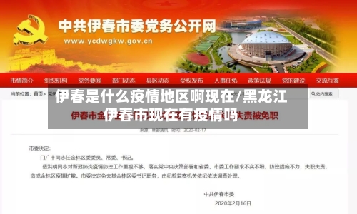 伊春是什么疫情地区啊现在/黑龙江伊春市现在有疫情吗-第3张图片