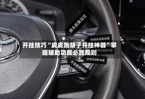 开挂技巧“皮皮跑胡子开挂神器”掌握辅助功能必胜规则