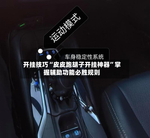 开挂技巧“皮皮跑胡子开挂神器”掌握辅助功能必胜规则-第3张图片