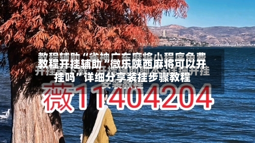 教程开挂辅助“微乐陕西麻将可以开挂吗”详细分享装挂步骤教程-第2张图片