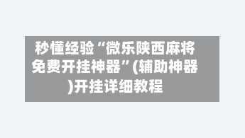 秒懂经验“微乐陕西麻将免费开挂神器”(辅助神器)开挂详细教程-第3张图片