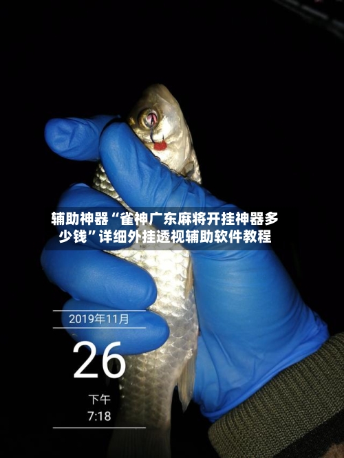 辅助神器“雀神广东麻将开挂神器多少钱”详细外挂透视辅助软件教程-第2张图片
