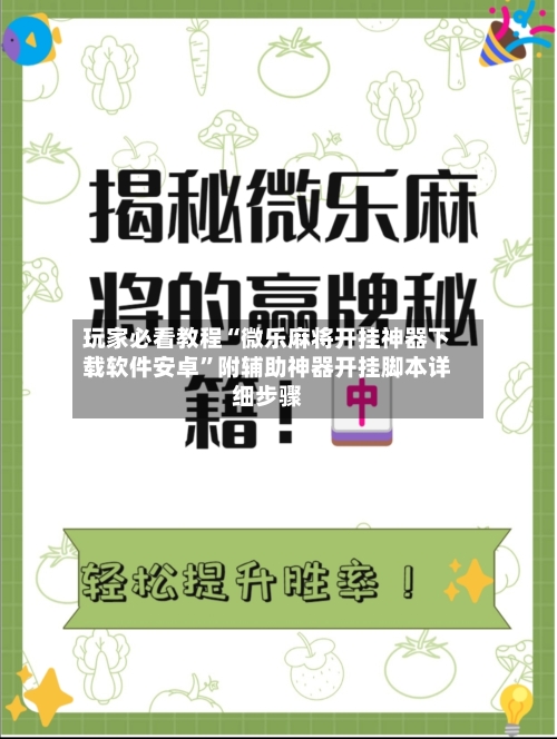 玩家必看教程“微乐麻将开挂神器下载软件安卓”附辅助神器开挂脚本详细步骤-第3张图片