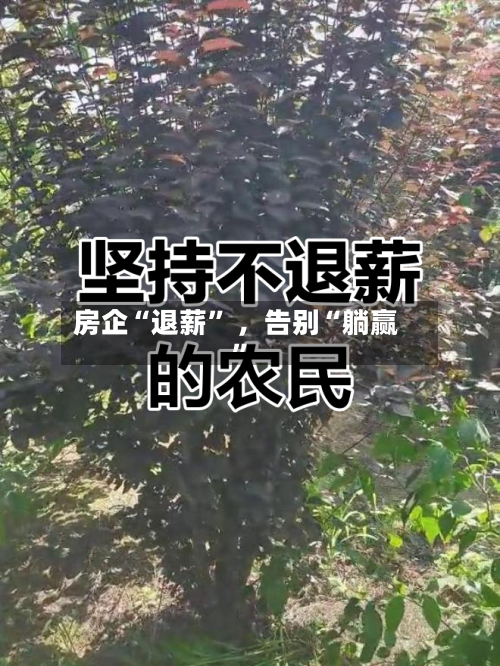 房企“退薪” ，告别“躺赢	”-第2张图片