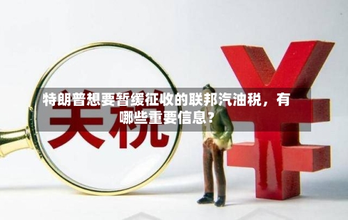 特朗普想要暂缓征收的联邦汽油税，有哪些重要信息？-第2张图片