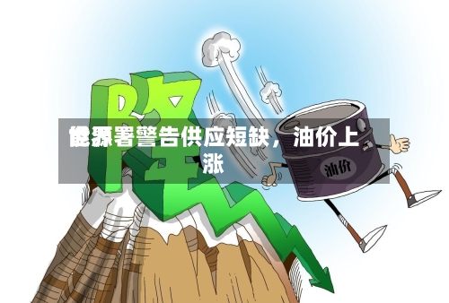 世界能源署警告供应短缺，油价上涨-第2张图片