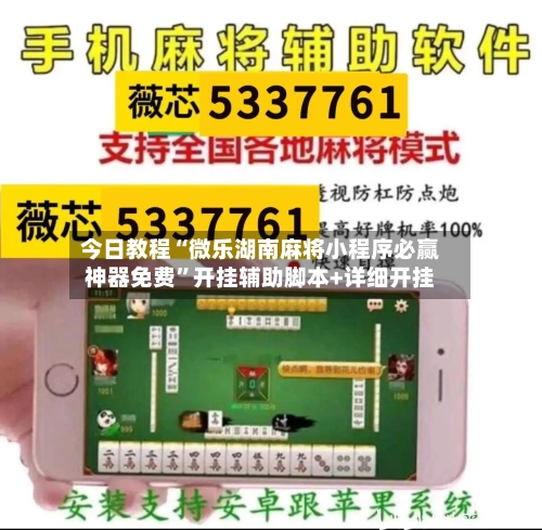 今日教程“微乐湖南麻将小程序必赢神器免费”开挂辅助脚本+详细开挂