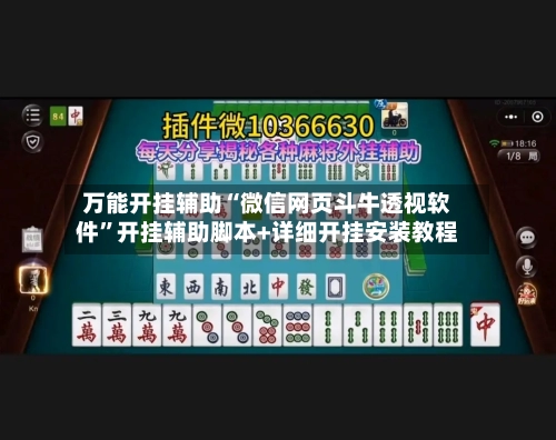 万能开挂辅助“微信网页斗牛透视软件	”开挂辅助脚本+详细开挂安装教程-第2张图片