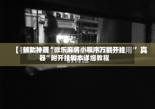 辅助神器“微乐麻将小程序万能开挂器	”附开挂脚本详细教程-第2张图片