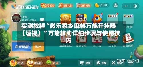 实测教程“微乐家乡麻将万能开挂器（透视）”万能辅助详细步骤与使用技巧-第3张图片