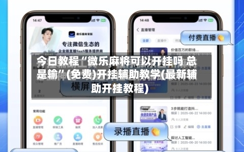 今日教程“微乐麻将可以开挂吗 总是输	”(免费)开挂辅助教学(最新辅助开挂教程)-第2张图片