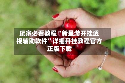 玩家必看教程“新星游开挂透视辅助软件	”详细开挂教程官方正版下载-第2张图片