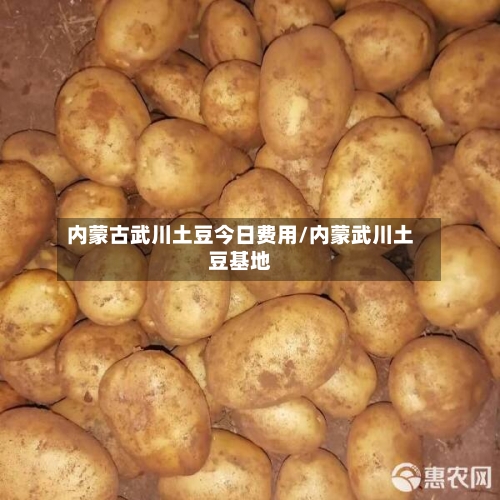 内蒙古武川土豆今日费用/内蒙武川土豆基地