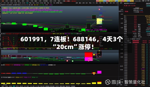 601991，7连板！688146，4天3个“20cm”涨停！