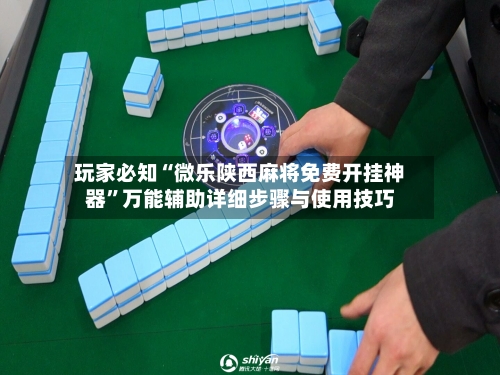 玩家必知“微乐陕西麻将免费开挂神器”万能辅助详细步骤与使用技巧-第2张图片