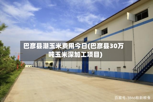 巴彦县潮玉米费用今日(巴彦县30万吨玉米深加工项目)-第2张图片