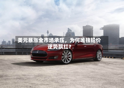 美元暴涨全市场承压，为何唯独铅价逆势飘红？
