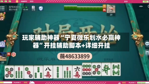 玩家辅助神器“宁夏微乐划水必赢神器	”开挂辅助脚本+详细开挂-第2张图片